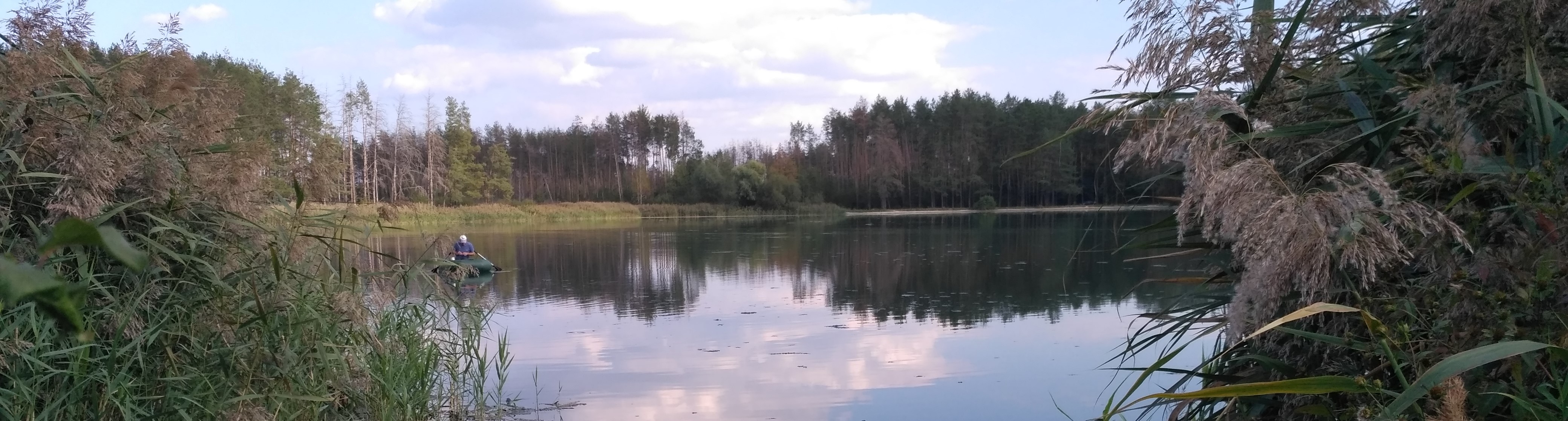 Баннер домашней страницы